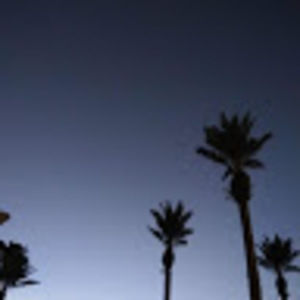 Meet your Posher, Oaklie